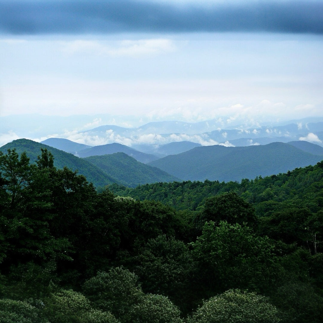 Blue Ridge Shave Bar