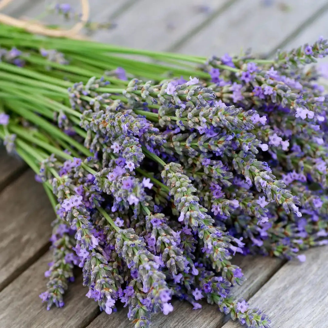 Essential Oil Candle - Lavender