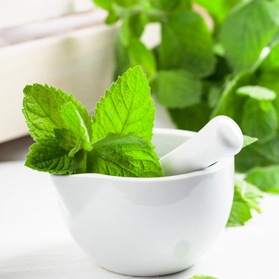 Essential Oil Candle - Peppermint