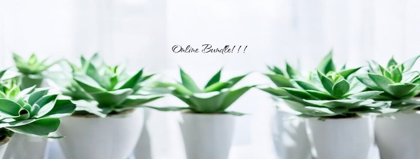 2/$34 Online Bundle